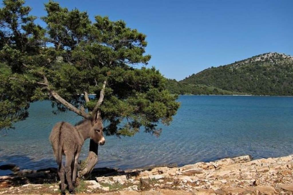 Apartment Lordanic Zaglav, Dugi Otok Exteriér fotografie