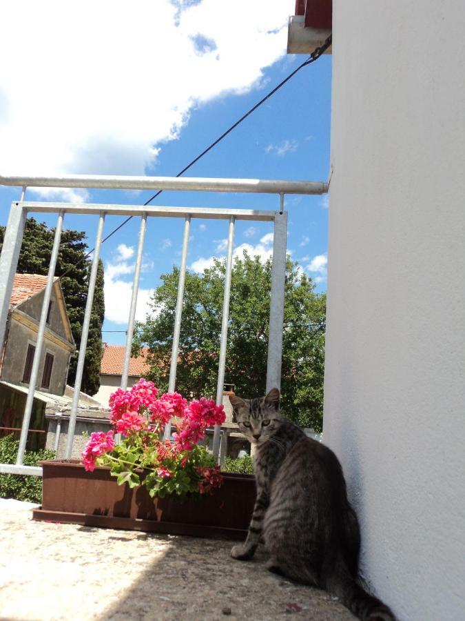 Apartment Lordanic Zaglav, Dugi Otok Exteriér fotografie