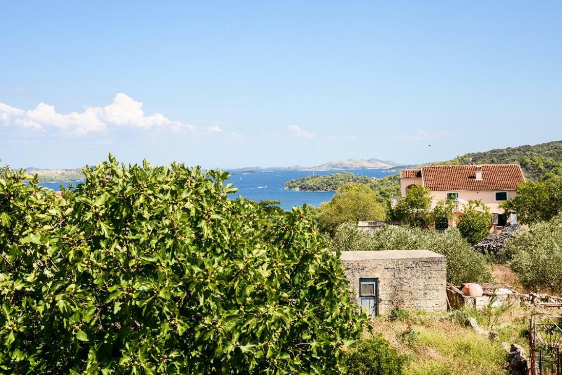 Apartment Lordanic Zaglav, Dugi Otok Exteriér fotografie